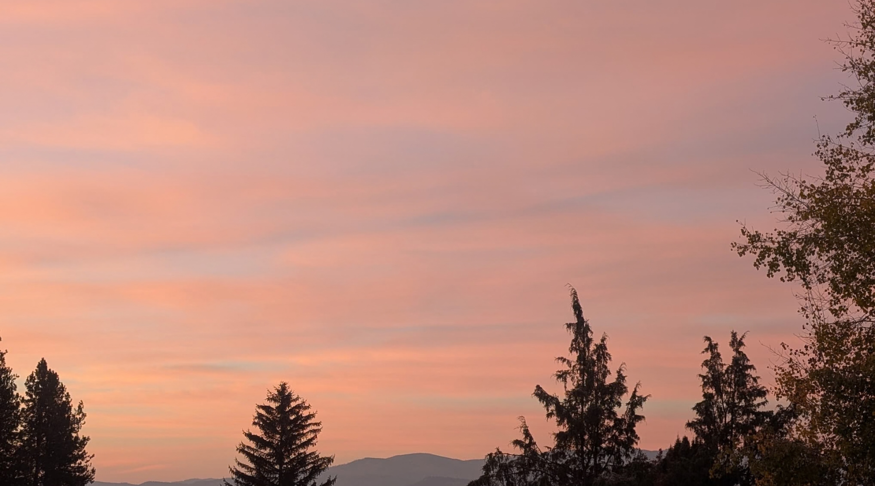 Shed Winter Sluggishness with Lymphatic Flow