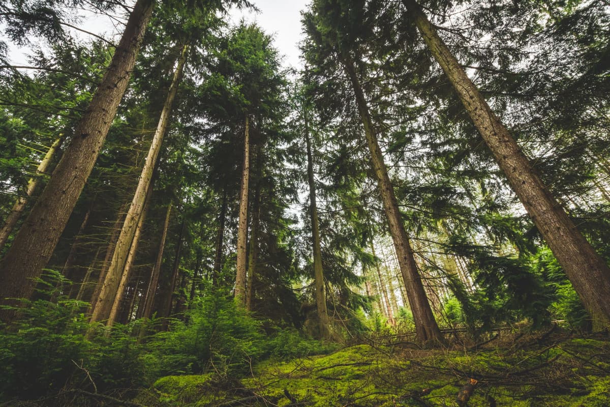 Get Outside!