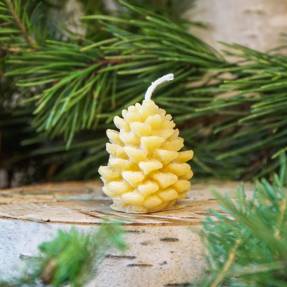 100% Montana Beeswax Pinecone Votive Candle