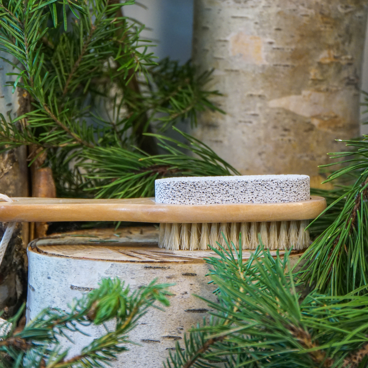 Pumice/Brush Combo