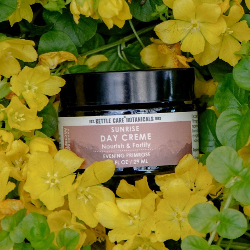 Sunrise Day Crème w/ Evening Primrose