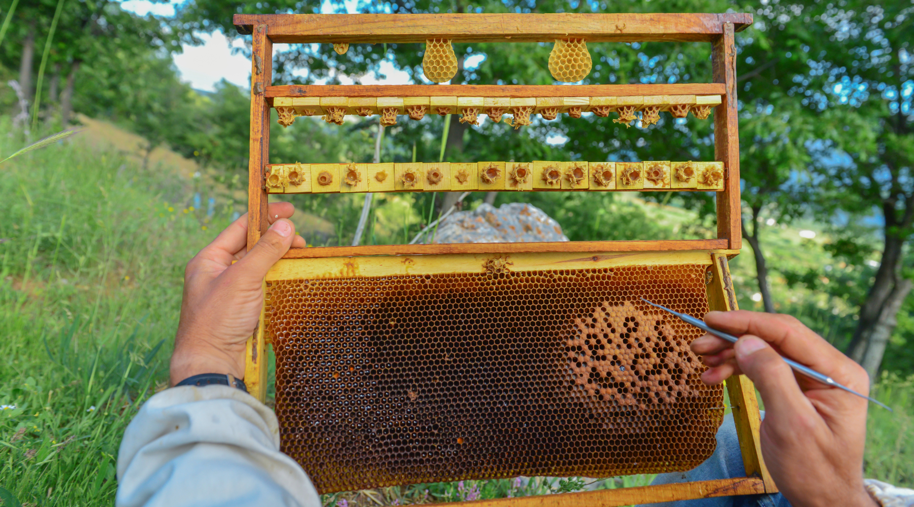 What Is Royal Jelly And Why Does Your Skin Love It?