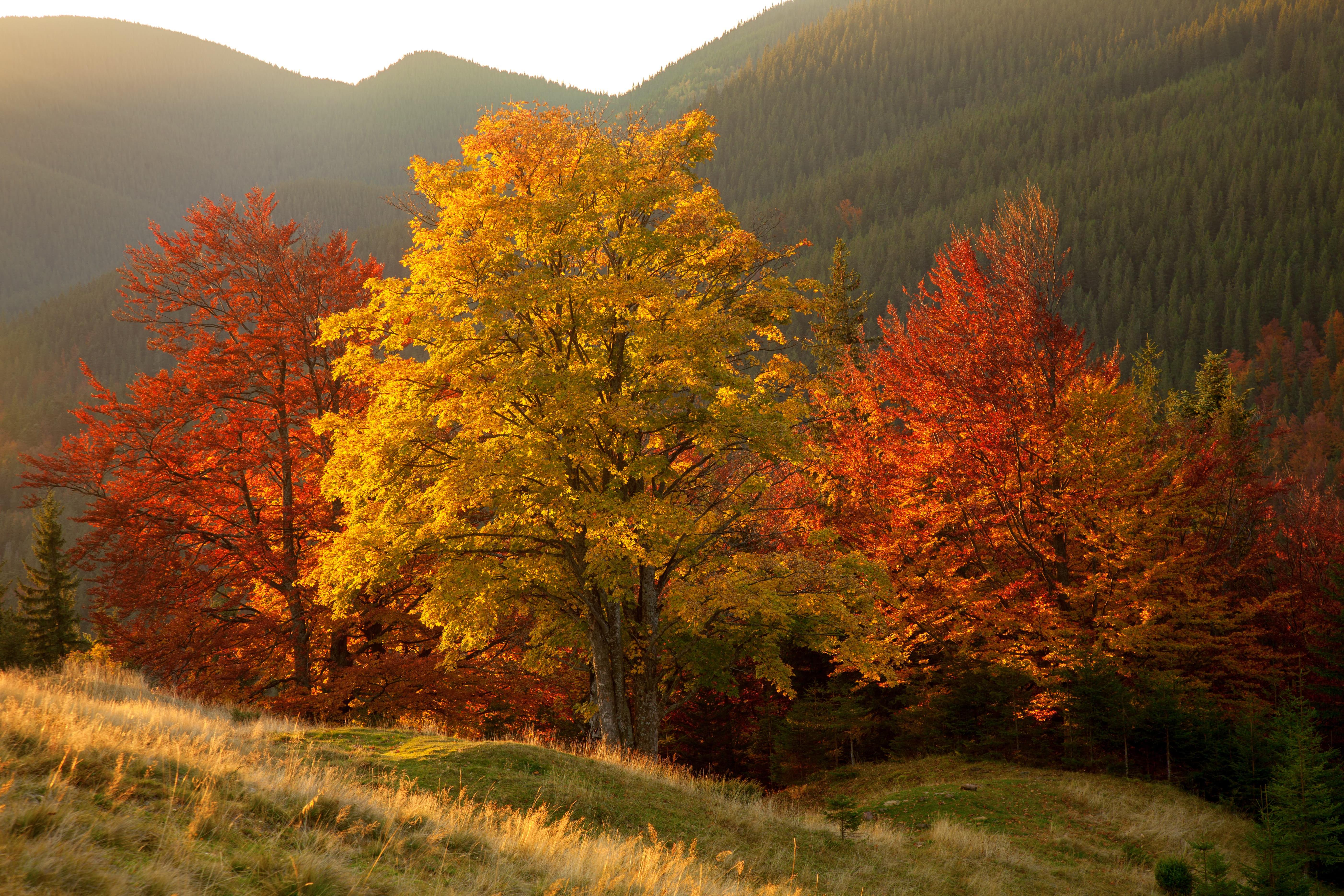 September 14th Workshop for Holistic Detox for Body, Mind & Soul