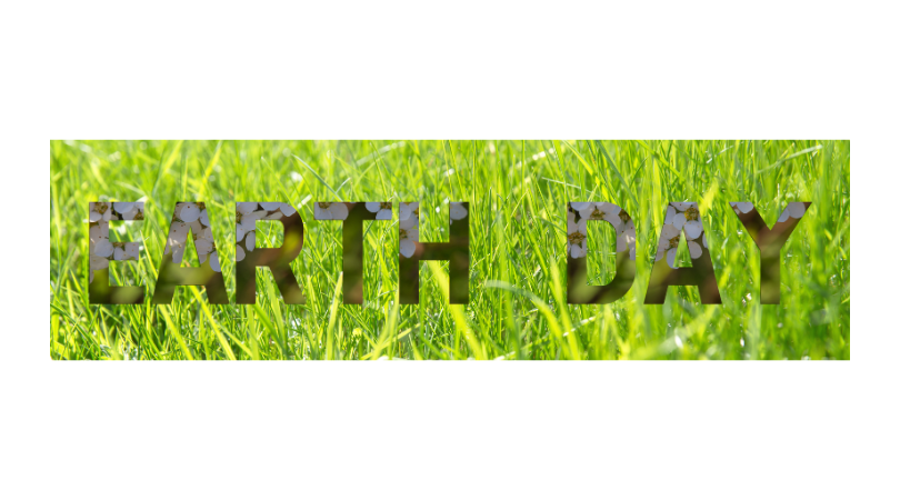 Kettle Care Cares: Doing our Best for the Environment
