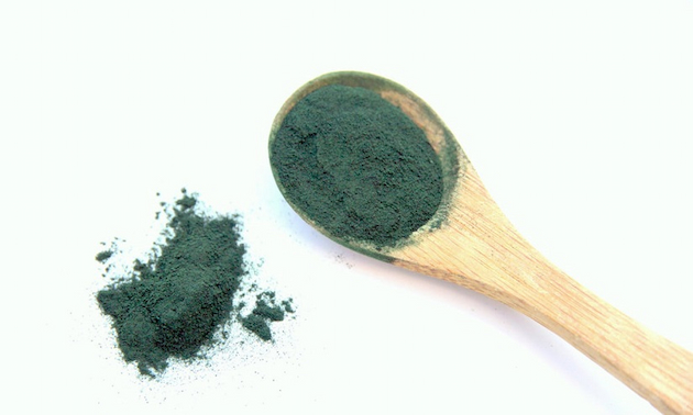 Spirulina